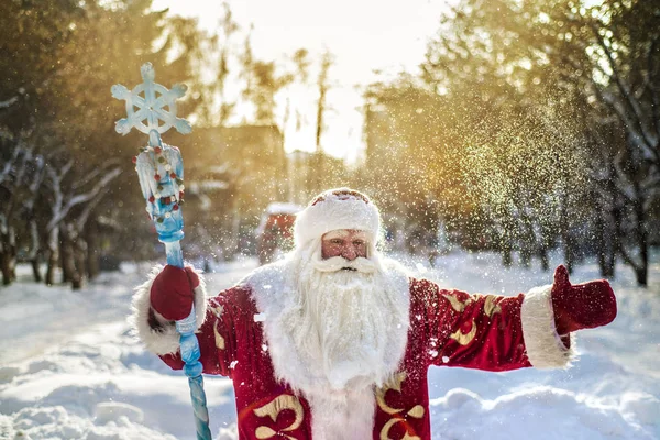 Drôle Joyeux Père Noël Dans Air Frais Sur Fond Branches — Photo