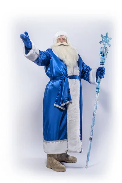 Santa Claus and Father Frost in a blue coat, a hat and with a staff is standing against a white background and gesturing emotionally.