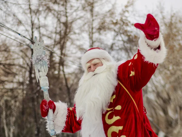 Jultomten Och Far Frost Viftar Mot Bakgrund Träd Och Skog — Stockfoto