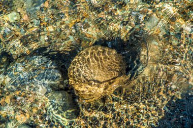 Öğleden sonra güzel dağ dere. Güzel dağ dere taşları ve renkli bir ısmarlayarak köpüklü dalgalar ve su sıçramalarına ve gün boyunca akışının taşlar ile.