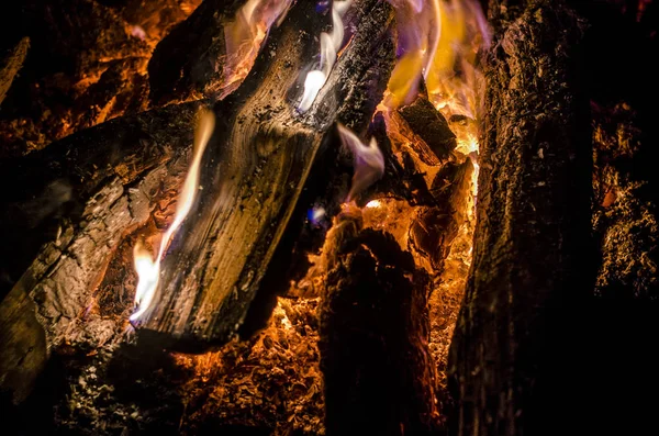 Piękny Ognisko Drewno Opałowe Nocy Piękny Ognisko Językami Ognia Drewna — Zdjęcie stockowe