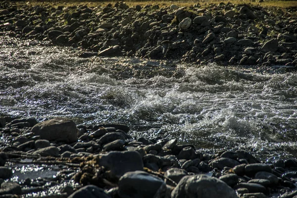 Прекрасный Горный Поток Второй Половине Дня Горный Ручей Камнями Колючками — стоковое фото