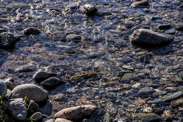 Vackra Fjällbäck Eftermiddagen Vackra Fjällbäck Med Stenar Och Färgglad Och — Stockfoto