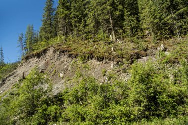 Güzel manzarası ve altay doğa manzara. Yüksek dağlar ve kayalar mavi gökyüzü güneşli bir karşı görkemli manzara.
