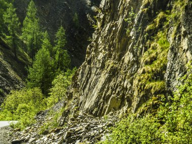 Güzel manzarası ve altay doğa manzara. Sert ve kabartma doku orman ve güneşli bir günde dağlardaki ağaçları ile taştan.