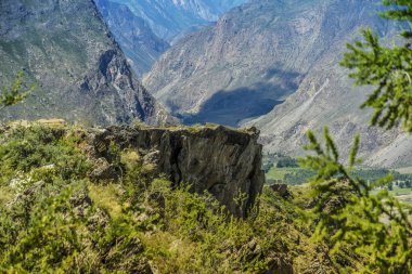 Güzel manzarası ve altay doğa manzara. Sert ve kabartma doku orman ve güneşli bir günde dağlardaki ağaçları ile taştan.
