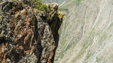 Güzel manzarası ve altay doğa manzara. Güneşli bir günde dağlarda çimen buzlu sert ve kabartma dokusu.