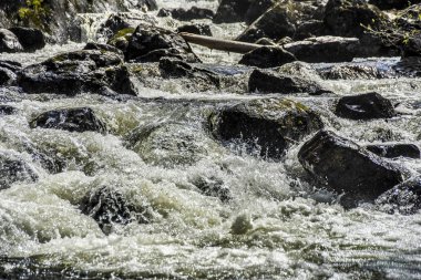 Güzel manzarası ve altay doğa manzara. Bir dağ dere ile kaynar su sıçramalarına ve güneşli bir günde Dağları taşları taşlar.