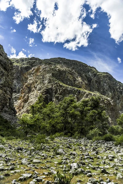 Beautiful Views Landscape Altai Nature Majestic Landscape High Mountains Cliffs — Stock Photo, Image