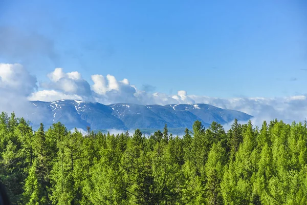 Pemandangan Indah Dan Pemandangan Alam Altai Pemandangan Megah Pegunungan Tinggi — Stok Foto