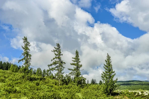 Vacker Utsikt Och Landskapet Altai Natur Det Majestätiska Landskapet Höga — Stockfoto