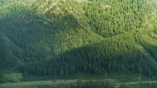 Belas Vistas Paisagem Natureza Altai Montanhas Pitorescas Com Árvores Arbustos — Fotografia de Stock