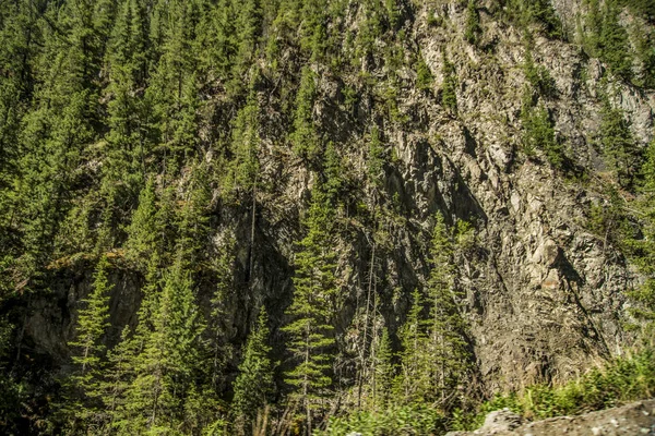 Vacker Utsikt Och Landskapet Altai Natur Tuff Och Lättnad Konsistens — Stockfoto