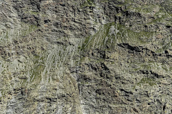 美しい景色とアルタイ自然の風景 晴れた日に山で草と岩のテクスチャを厳しいと救済 — ストック写真