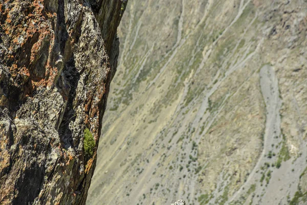 Schöne Ausblicke Und Landschaft Der Altai Natur Härte Und Reliefstruktur — Stockfoto