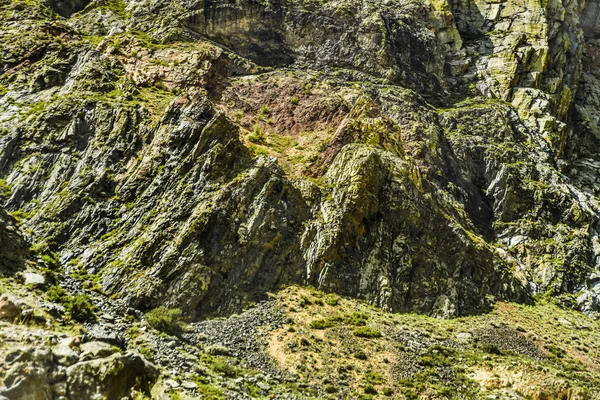 Beautiful Views Landscape Altai Nature Tough Relief Texture Rocks Grass — Stock Photo, Image