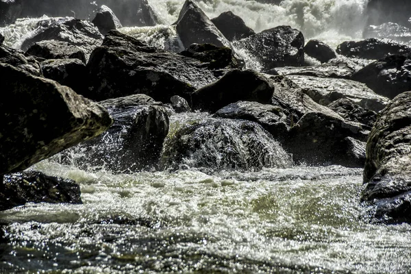 Bella Vista Paesaggio Della Natura Altai Ruscello Montagna Bollente Schizzi — Foto Stock