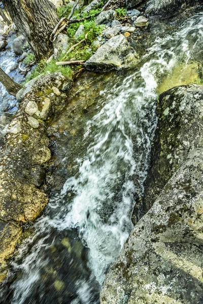 美丽的景色和阿尔泰自然的风景 在一个阳光明媚的日子里 山间的溪水在山上的岩石上沸腾 溅起了飞溅和石头 — 图库照片