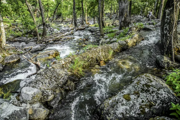 Красивые Виды Пейзажи Природы Алтая Горный Поток Кипящий Брызгами Камнями — стоковое фото