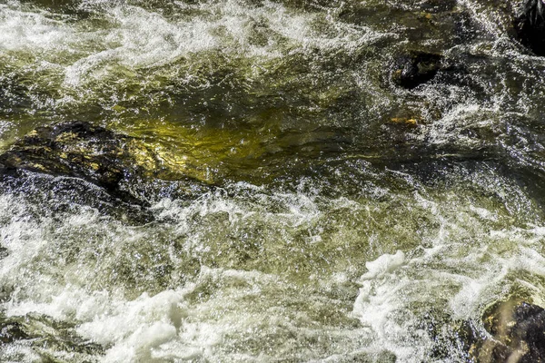 Prachtig Uitzicht Landschap Van Aard Van Altaj Een Bergbeek Koken — Stockfoto