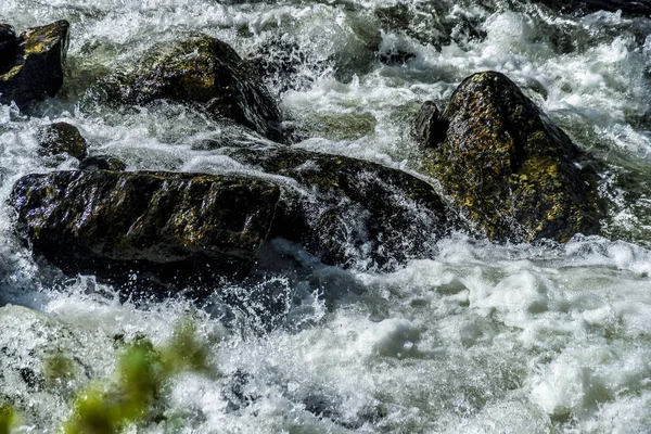 Красивые Виды Пейзажи Природы Алтая Горный Поток Кипящий Брызгами Камнями — стоковое фото