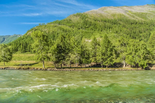 Hermosas Vistas Paisaje Naturaleza Altai Río Montaña Con Piedras Guijarros —  Fotos de Stock