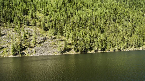 Hermosas Vistas Paisaje Naturaleza Altai Río Montaña Sobre Telón Fondo —  Fotos de Stock