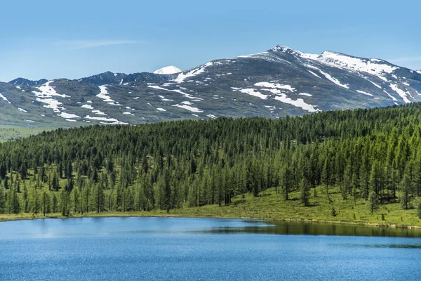 Hermosas Vistas Paisaje Naturaleza Altai Río Montaña Con Telón Fondo —  Fotos de Stock