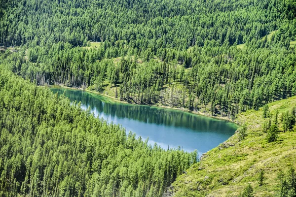 Bella Vista Paesaggio Della Natura Altai Fiume Montagna Sullo Sfondo — Foto Stock