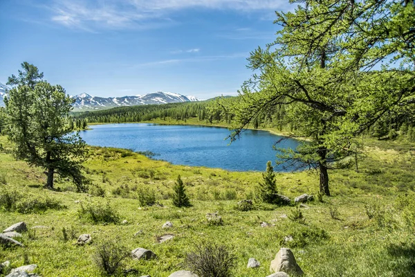 Belas Vistas Paisagem Natureza Altai Rio Montanha Contra Pano Fundo — Fotografia de Stock