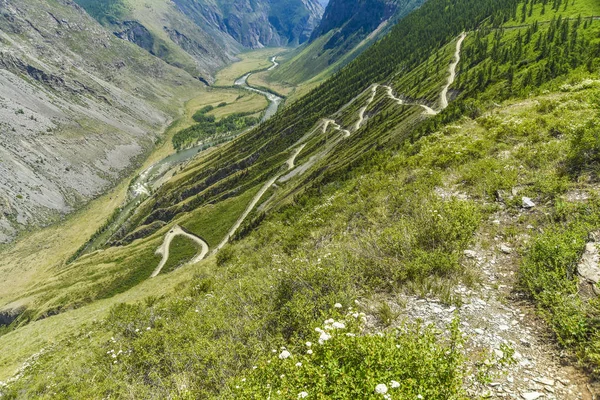 Güzel manzarası ve altay doğa manzara. Güzel dağlar ve kayalar güneşli bir gorge dağ esnek nehirde Vadisi.