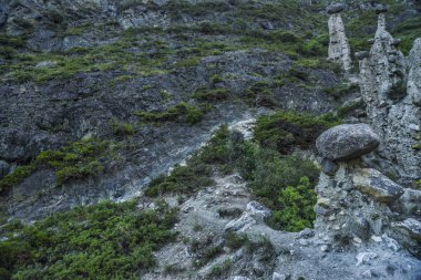 Güzel manzarası ve altay doğa manzara. Güzel ve özgün kaya ve taş mantar şeklinde altay dağlarında.