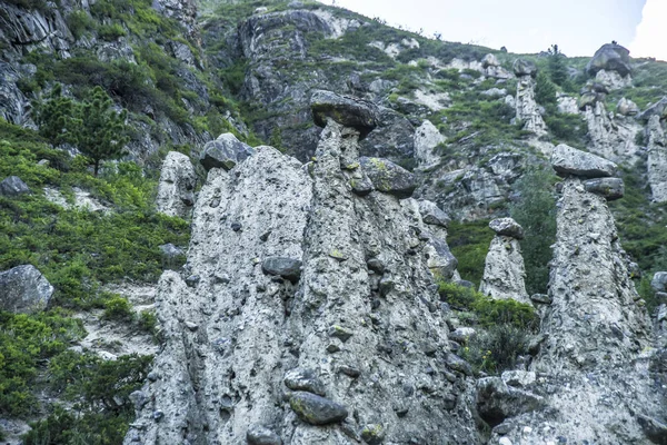 美丽的景色和阿尔泰自然的风景 以石菇的形式出现在阿尔泰的美丽而原始的岩石和山脉 — 图库照片