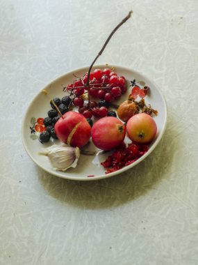 Güzel bir natürmort rowan ve uzanıyor, öğleden sonra iç masaya bir tabak içinde yalan.