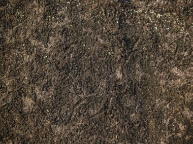 Özgün ve güzel dokular. Güzel ve ilginç dokular ve soyut ahşap ve ahşap yüzeyler ve ürünleri.