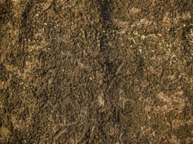 Özgün ve güzel dokular. Güzel ve ilginç dokular ve soyut ahşap ve ahşap yüzeyler ve ürünleri.