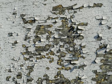 Özgün ve güzel dokular. Güzel ve ilginç dokular ve soyut eski ahşap yüzeylerin boya boyalı.