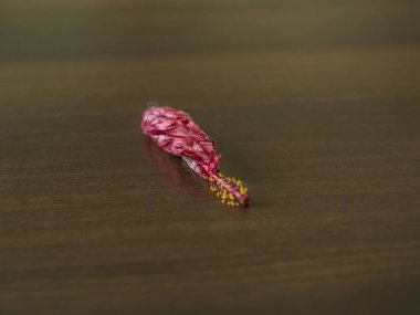 Güzel ve parlak çiçekler. Masada güzel kurutulmuş ve açılmamış Mor çiçek.