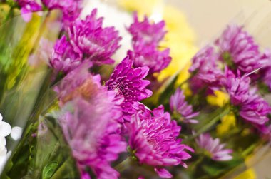 Güzel ve parlak çiçekler. Plastik ambalaj Mor çiçek dolu güzel bir buket.