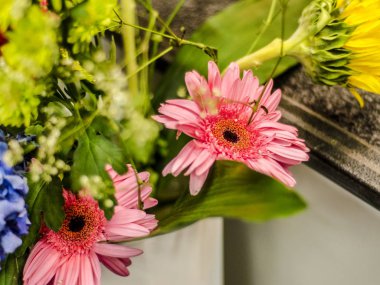 Güzel ve parlak çiçekler. Çok renkli buket güzel bir vazo içinde farklı çiçek.