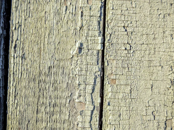 Texturas Originais Bonitas Lindas Interessantes Texturas Abstrações Madeira Superfícies Produtos — Fotografia de Stock