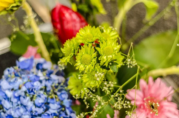 Красивые Яркие Цветы Красивый Разноцветный Букет Разных Цветов — стоковое фото