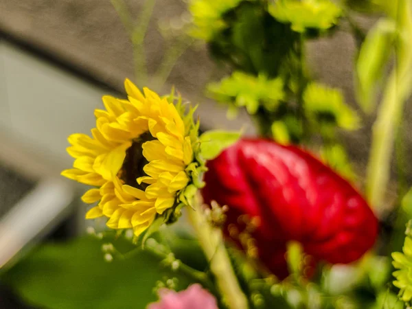 Красивые Яркие Цветы Красивый Разноцветный Букет Желтых Цветов — стоковое фото