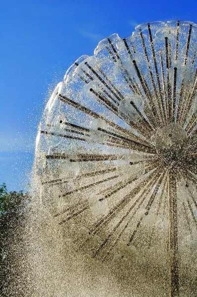 Beautiful Original Fountains Environment Beautiful Fountain Rhythm Jets Fountain Form — Stock Photo, Image