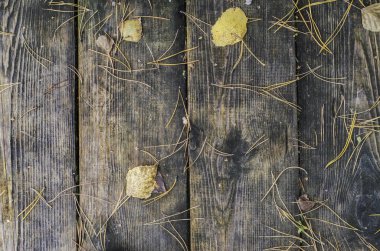 Güzel ve özgün doku. Karmaşık, anlaşılmaz, özgün ve ilginç doku, desen ve arka plan ağaç ve ağaç ürünleri ve düşen yapraklar ile panoları.