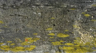 Güzel ve özgün doku. Karmaşık, anlaşılmaz, özgün ve ilginç doku, desen ve arka plan eski ve eski ahşap ve ahşap ürünler ve panoları.