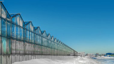 Güzel ve büyük ölçekli seralar. Güzel ve büyük ölçekli seralar akşam ya da sabah mavi gökyüzü güneş peyzaj doğada.