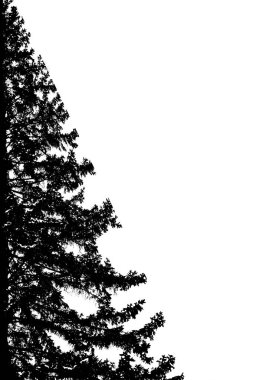 Güzel ve ilginç görünümü ve kontur soyutlama ağaç beyaz bir arka plan üzerinde.