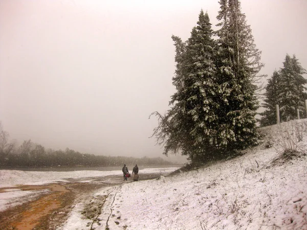 冬季景观和背景 美丽而有趣的风景 全景和人们在森林中飘落的雪中行走的景色 — 图库照片