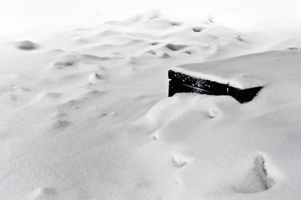 Winterlandschap Achtergrond Mooi Interessant Landschap Panorama Uitzicht Het Park Met — Stockfoto